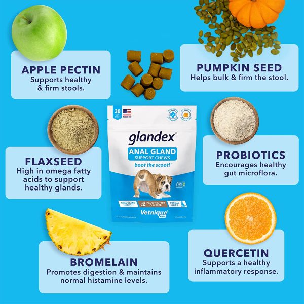 Glandex Gland Soft Chew Treats with Pumpkin for Dogs Chews with Digestive Enzymes, Probiotics Fiber Supplement for Dogs ?C - Boot The Scoot - by Vetnique Labs (Peanut Butter, 30ct)