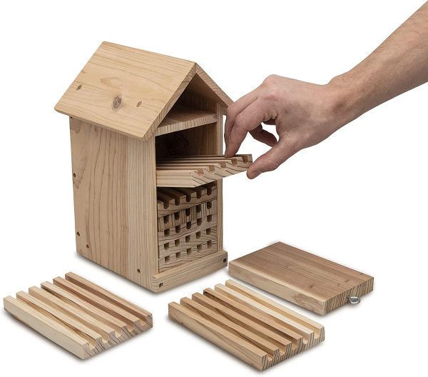 Conich Mason Bee House Premium Japanese Sugi Cedar Wood, Large Insect Hotel, Reusable - Perfect for Garden, Nesting Native, Solitary Bees Comes Complete with A Cleaning Brush and Starter Guide - Image 7