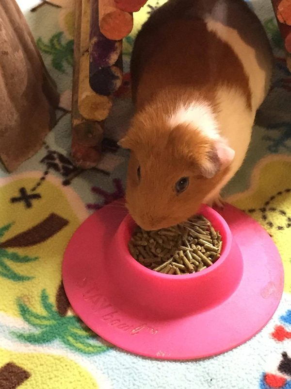 STAYbowl Tip-Proof Ergonomic Pet Bowl for Guinea Pig and Other Small Pets 1/4-Cup Small Size Fuchsia (Pink) - Image 5