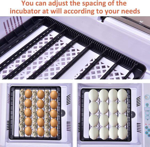 Egg Incubator, 56Eggs Digital Incubators with Fully Automatic Egg Turning and Temperature Humidity Control LED Candler Automatic Incubator Breeder for Hatching Chickens/Ducks/Goose/Quail/Birds/Pigeon - Image 3