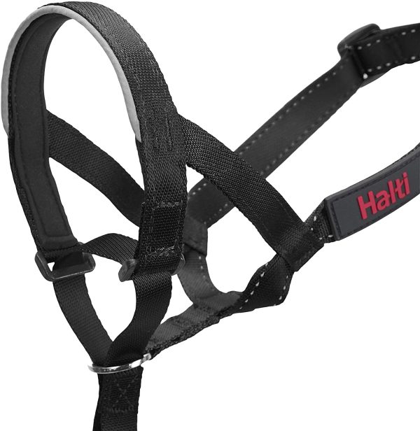 The Company Of Animals 11420A Halti Headcollar, Black, 4 - Image 4