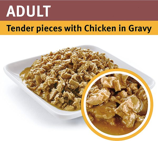 Pro Plan Chicken in Gravy Adult Cat Food 12 Packs 12 Pack Medium