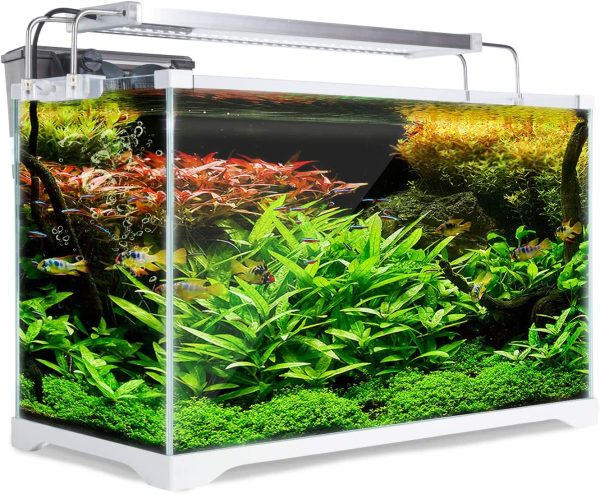 Dynamic Power Starfire Glass Fish Tank 39L (AQ-FT35L) - Image 4