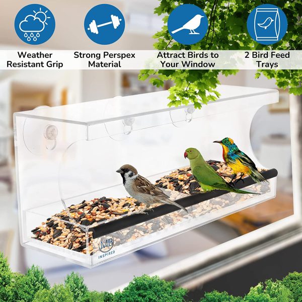 Large Window Bird Feeder with Strong Suction Cups ?C Perspex Bird Feeding Station with 2-Sections, Removable Tray & Drainage Holes to Keep Food Dry ?C for up to Medium size Native Birds by MJB Inspired? - Image 7