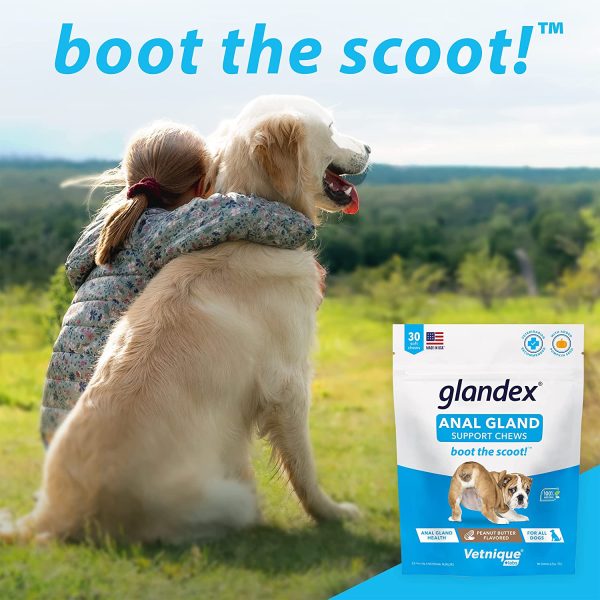 Glandex Gland Soft Chew Treats with Pumpkin for Dogs Chews with Digestive Enzymes, Probiotics Fiber Supplement for Dogs ?C - Boot The Scoot - by Vetnique Labs (Peanut Butter, 30ct) - Image 7