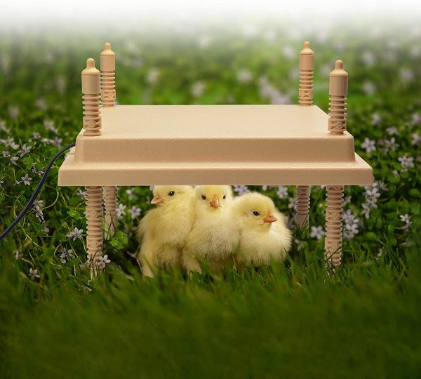 Chick Brooder Hen / Mother Hen - Heat Lamp Replacement - Up to 25 Chicks - 30x30cm - Image 3