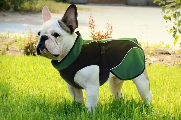 Dog coat,Dog soft shell fleece jacket,Warm wind-proof water and dirt repellent.Breathable moisture wicking easy to care for fast drying stretchy material,Dog Clothes for Small Dogs Boy and Medium Dogs and Large Dogs(X-Small/25CM Back Length)