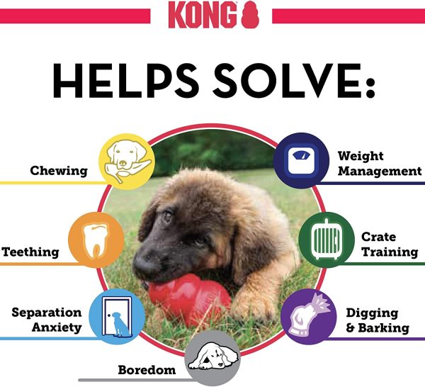 KONG - Classic Dog Toy - Durable Natural Rubber - Fun to Chew, Chase and Fetch - for Small Dogs - Image 3