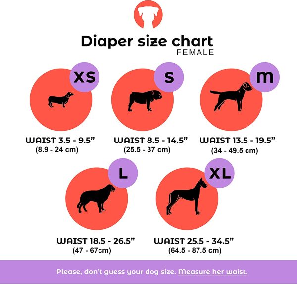 Dog Diapers Washable & Reusable by PETTING IS CARING - Female Dog Diapers Materials Durable Machine Washable Solution for Pet Incontinence and Long Travels - 3 Pack Set (Printed, XS) - Image 4