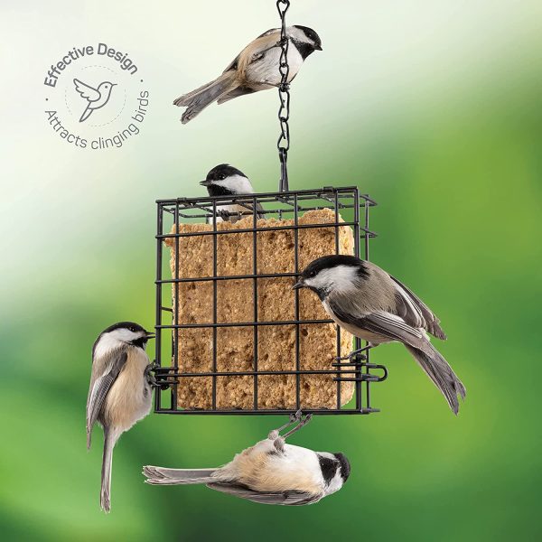 SEWANTA Suet Feeder for Wild Birds [Set of 2] One Suet Cake Capacity Each - Suet Bird Feeders for Outside Food, Bird Feeder Cage, Use with Suet Cakes, Seed Cakes, Bread, Fruits for Oriole Wild Birds - Image 6