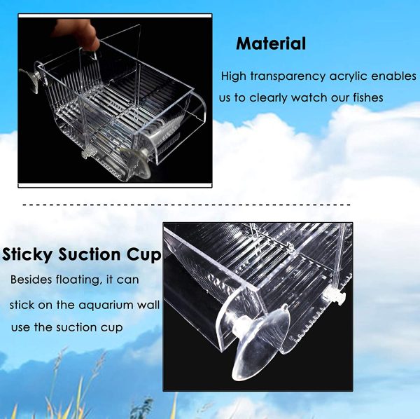 Capetsma Fish Breeding Box, Acrylic Fish Isolation Box with Suction Cups, Aquarium Acclimation Hatchery Incubator for Baby Fishes Shrimp Clownfish and Guppy. Small Size (S)