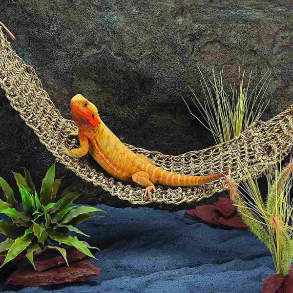 PIVBY Reptile Lizard Lounger Bearded Dragon Hammock,100% Natural Grass Fibers Hammock Bed for Anoles, Bearded Dragons, Geckos, Iguanas, and Hermit Crabs - Image 3