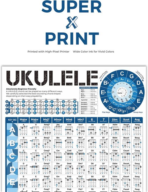 Ukulele Chord Chart, An Educational Ukelele Chords Poster for Beginners and Teachers, Ukelele Fretbaord Notes, Music Theory, Circle of Fifths, Waterproof, Non-Tearing