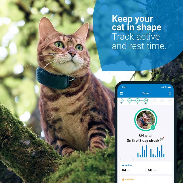 Tractive GPS CAT 4. Cat tracker. Follow every step in real-time. Unlimited Range. Activity Monitoring (w/ midnight blue collar attachment) - Image 8