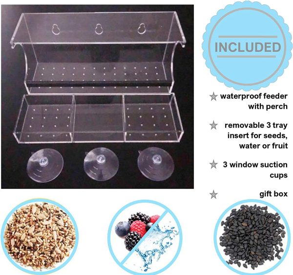 Fun Interactive Outdoors Window Bird Feeder - Clear Hanging - New Third Tray for Water, Fruit and Bird Seeds ?C Easy Clean, Non-Permanent Strong Suction Cups, Drain Holes, Great Gift Idea - Image 2