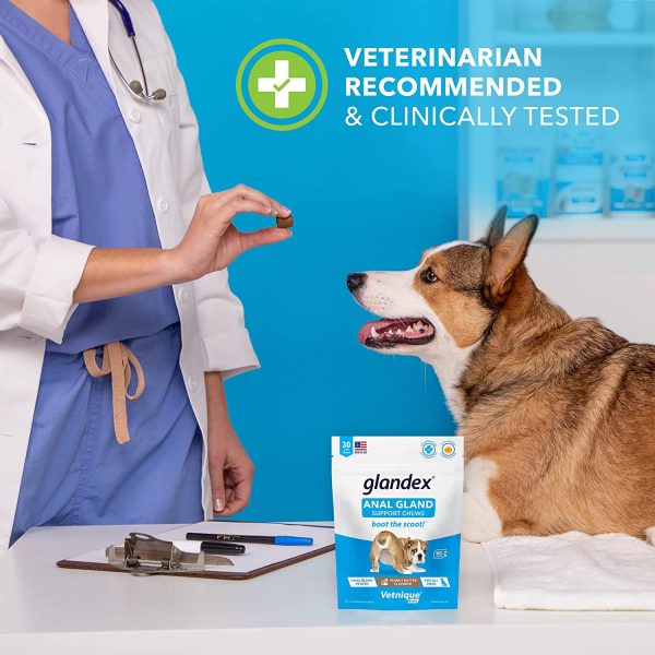 Glandex Gland Soft Chew Treats with Pumpkin for Dogs Chews with Digestive Enzymes, Probiotics Fiber Supplement for Dogs ?C - Boot The Scoot - by Vetnique Labs (Peanut Butter, 30ct) - Image 3