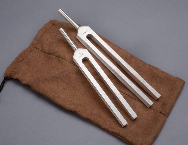 C & G Tuning Forks - Body Tuners with Pouch