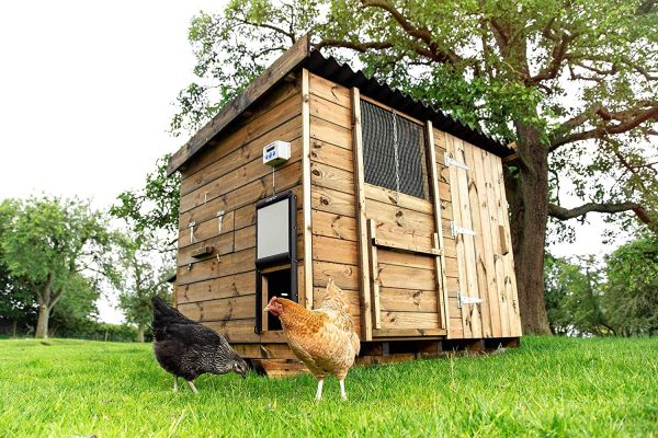 CHICKENGUARD? Premium Automatic Chicken Coop Door Opener and Self-Locking Door Kit, Predator resistant Pop Hole Door - Image 4