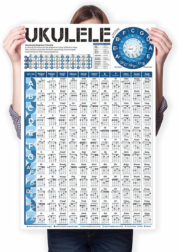 Ukulele Chord Chart, An Educational Ukelele Chords Poster for Beginners and Teachers, Ukelele Fretbaord Notes, Music Theory, Circle of Fifths, Waterproof, Non-Tearing - Image 3