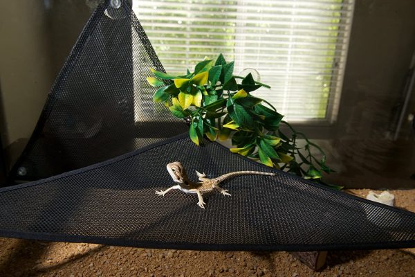 GenRev 2pc Reptile Hammock Lounger & Ladder Accessories Set for Large & Small Bearded Dragons Anoles Geckos Lizards or Snakes - 19x13x13in Hammock, 12x12x12in Ladder ?C with Water/Food Dish - Image 4