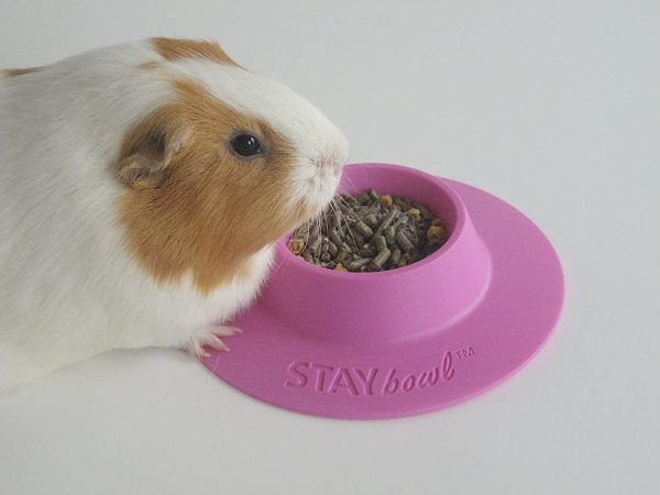 STAYbowl Tip-Proof Ergonomic Pet Bowl for Guinea Pig and Other Small Pets 1/4-Cup Small Size Lilac (Purple) - Image 4