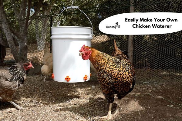 Roosty's? DIY Chicken Waterer Kit x12 - Horizontal Chicken Waterer Nipples, Easy Installation Chicken Watering System, Chicken Water Feeder, Chicken Nipples, Automatic Poultry Waterer with Drill Bits - Image 3