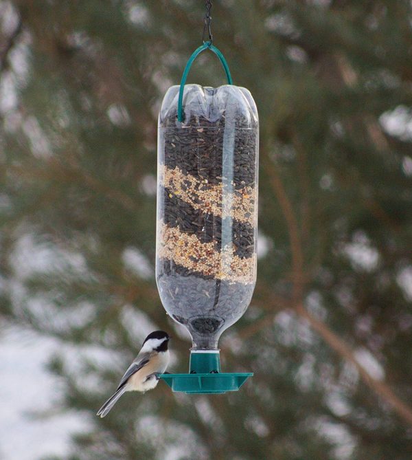 IvyMore Square Metal Mesh Ground Feeding Tray - Compact and Durable Wild Bird Feeder Seed Dish - Complete with Recyclable Plastic Soda Bottle Hanging Bird Feeder - Image 9